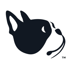 Daily Dog Adventures Logo